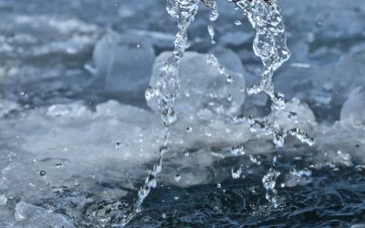 Le point sur l’eau que l’on boit