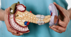 5 choses à savoir sur le pancréas