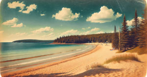 La plage est faite de grains de quartz, composé de silicium.