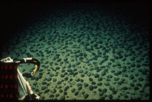 Champ de nodules