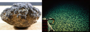 Nodule et champ polymétallique
