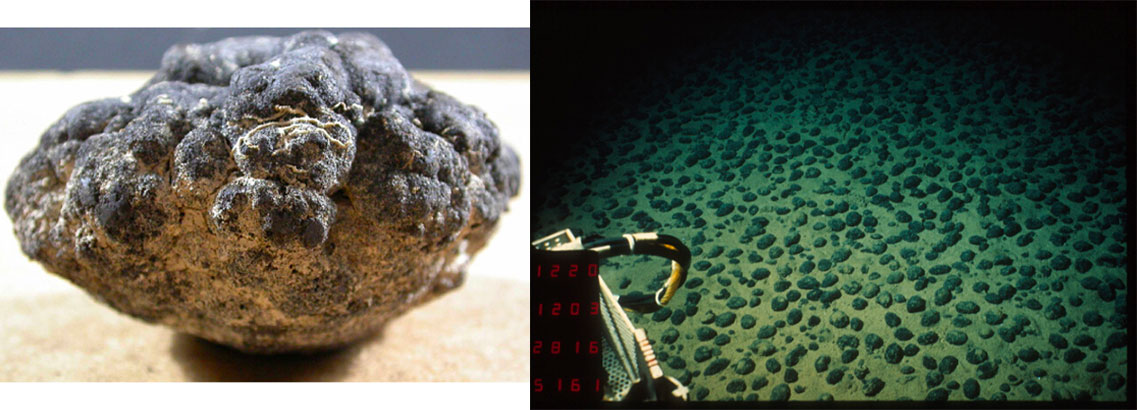 Nodule et champ polymétallique
