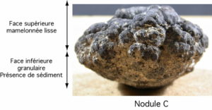 Nodule polymétallique